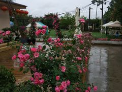 -三圣花乡旅游区