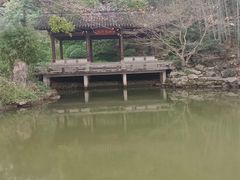 -杭州植物园