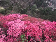 -木兰云雾山