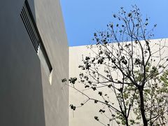 -大芬美术馆