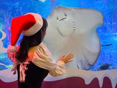 -沈阳海洋探索中心