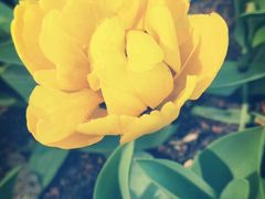 -长春公园(普阳街道)