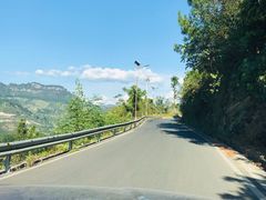 -重庆睡佛山森林公园