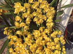 -珠海市体育中心-游泳馆