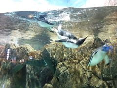 -成都浩海立方海洋公园