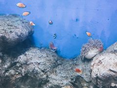 -福州罗源湾海洋世界旅游区