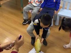 -i2青少儿英语(爱加星悦荟店)