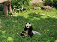 -沈阳森林动物园
