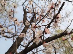 -亲兄弟真人CS团建拓展基地