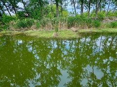 -微山湖红荷湿地景区