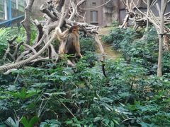 -香港海洋公园