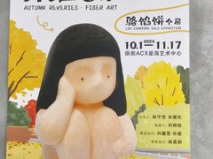 -辰熙ACX星海艺术中心