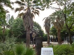 -苏州河梦清园环保主题公园