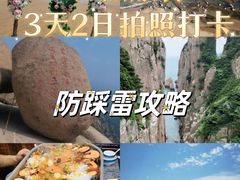 -日照海滨国家森林公园