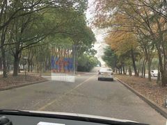 -胜华驾校·小猫学车(银都店)