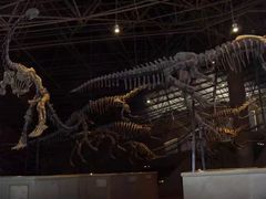 -世界恐龙谷景区