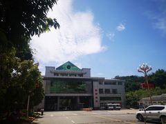 -打洛口岸