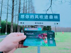 -黄海国家森林公园