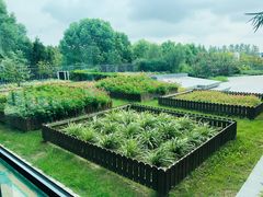 -太阳岛度假酒店