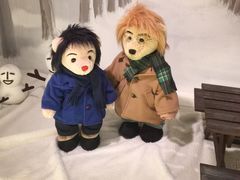 -济州岛泰迪熊博物馆