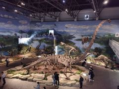 -自贡恐龙博物馆