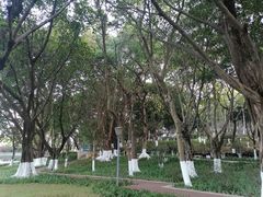 -玉树公园