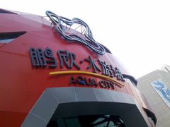 -鹏欣水游城