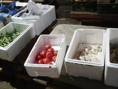 -鑫朱雀农贸批发市场