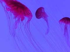 -沈阳海洋探索中心