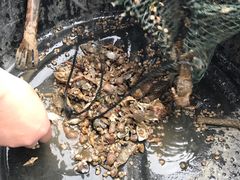 -海上驿站渔家菜馆