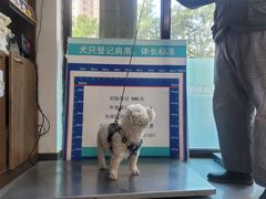 -心仪动物医院·牙专科·肿瘤·心脏科(西客站院)
