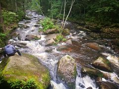 -汤旺河林海奇石景区