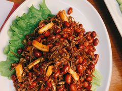 -辛氏火炉·韩式古法烤肉(松北店)
