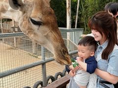 -泉州海丝野生动物世界