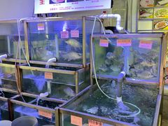 -八仔大富楼·河鲜(西江店)