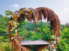 -广州白江湖森林公园