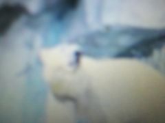 -琴岛之星摩天轮