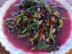 炒蕨菜-腾冲国萍农家乐