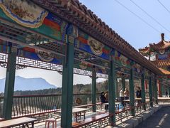 -北京十三陵国家森林公园蟒山景区