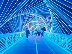 -琴岛之星摩天轮
