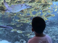 -海合安成都极地海洋公园
