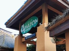 -亚马逊丛林水乐园