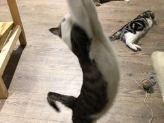 -小时光咖啡馆(开森度假森林店)