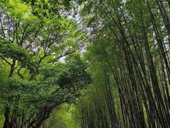 -杭州黄龙洞