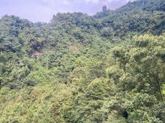 -青城山