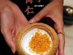 -同仁四季椰子鸡(罗湖国贸店)