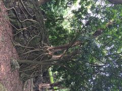 iphone_upload_pic-明秀园