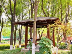 -昆山城市公园