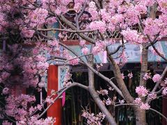 -宝墨园景区