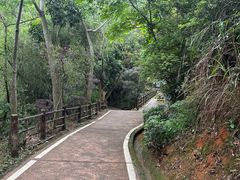 -东莞市大岭山森林公园